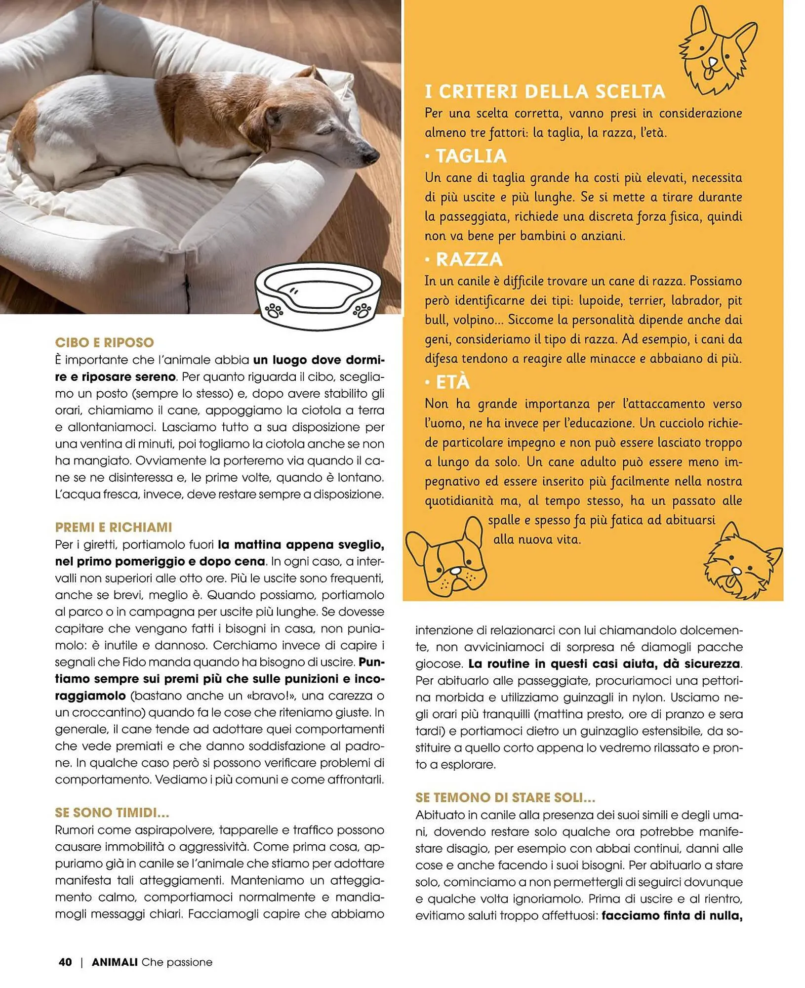 Volantino Italmark da 9 febbraio a 31 dicembre di 2024 - Pagina del volantino 40