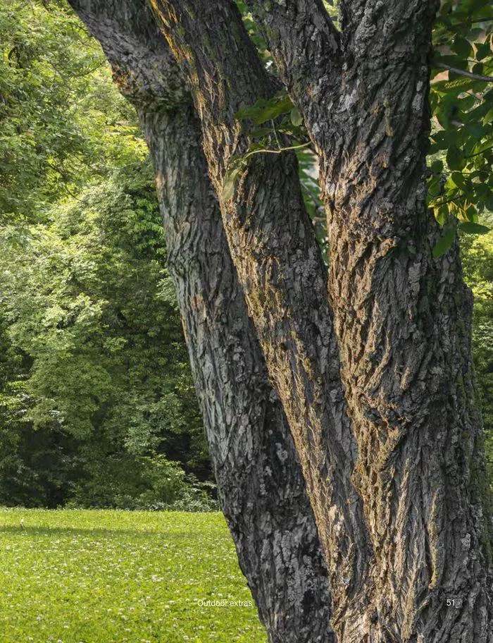 Outdoor decor collections 2024 da 1 febbraio a 30 giugno di 2024 - Pagina del volantino 53