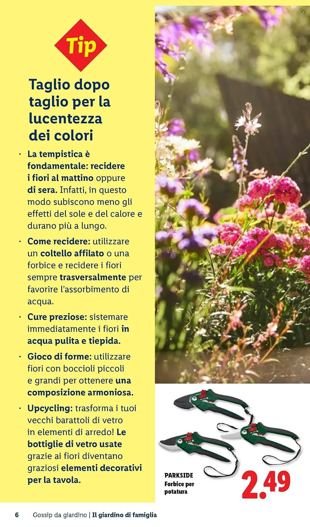 Volantino Lidl da 22 aprile a 30 aprile di 2026 - Pagina del volantino 6