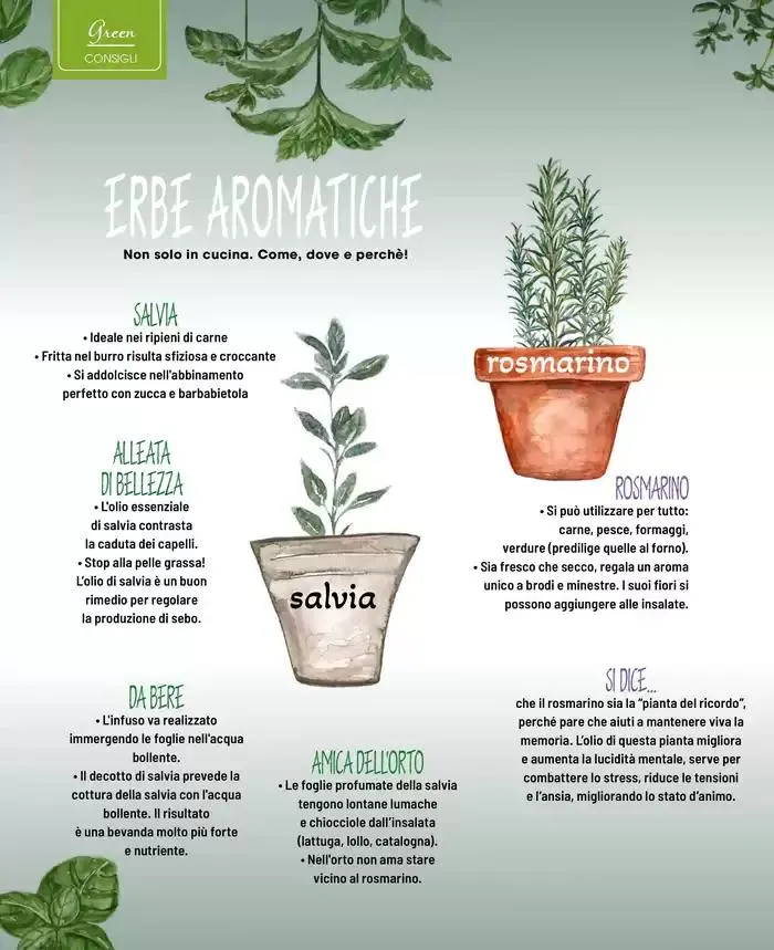 Catalogo A&O da 1 marzo a 30 aprile di 2025 - Pagina del volantino 25