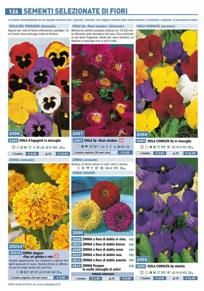 Sementi da fiore da 25 marzo a 31 dicembre di 2024 - Pagina del volantino 24