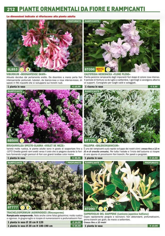 Catalogo guida 2024 da 25 marzo a 31 dicembre di 2024 - Pagina del volantino 214