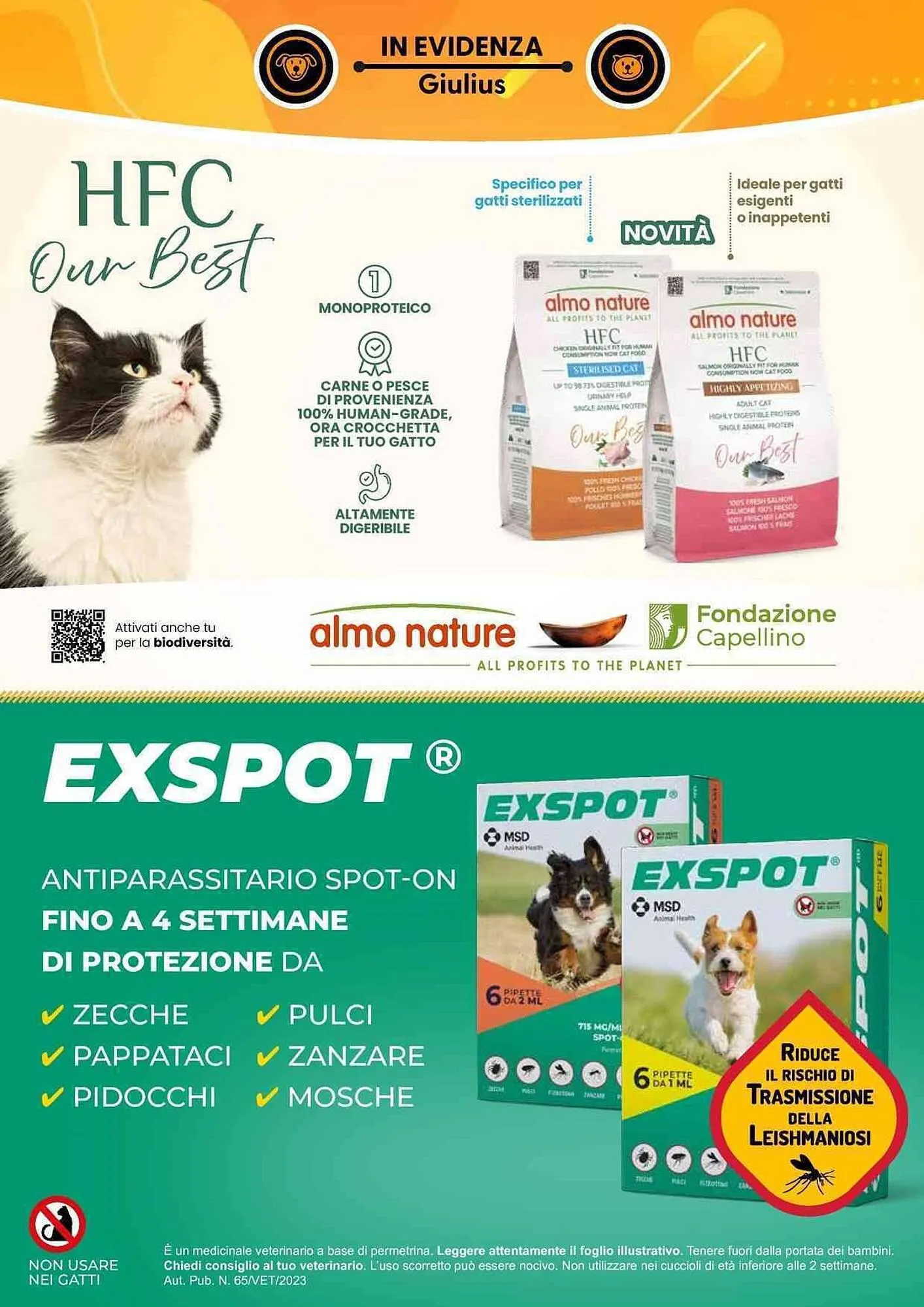 Volantino Giulius da 2 marzo a 30 aprile di 2026 - Pagina del volantino 3