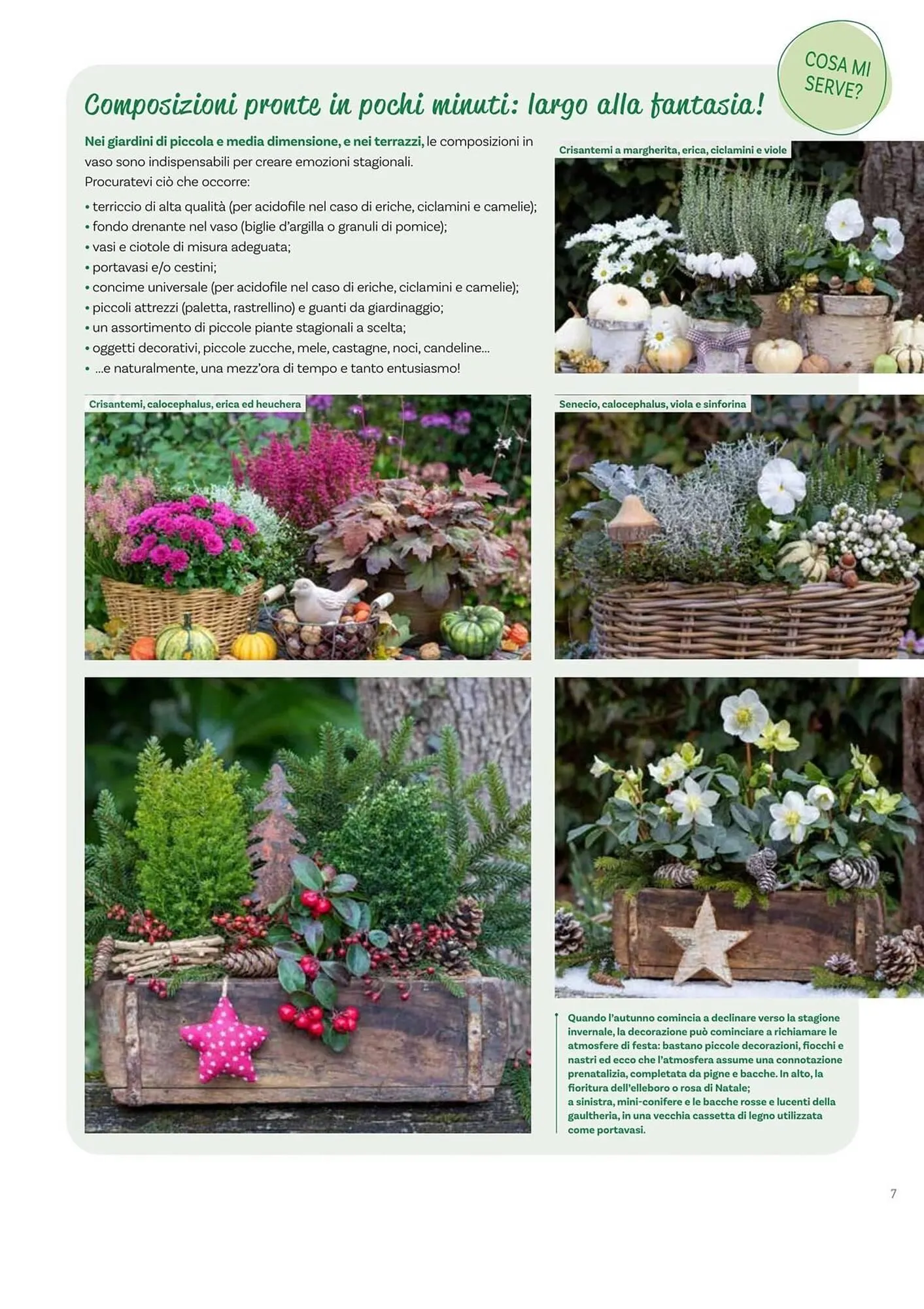 Volantino Viridea da 17 ottobre a 22 dicembre di 2025 - Pagina del volantino 7