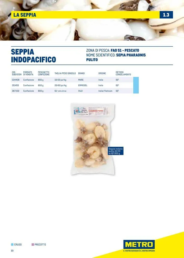 Catalogo Surgelati 2024 da 21 maggio a 31 maggio di 2025 - Pagina del volantino 23