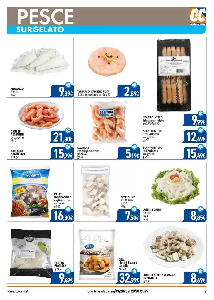 PROFESSIONAL da 24 marzo a 20 aprile di 2025 - Pagina del volantino 9