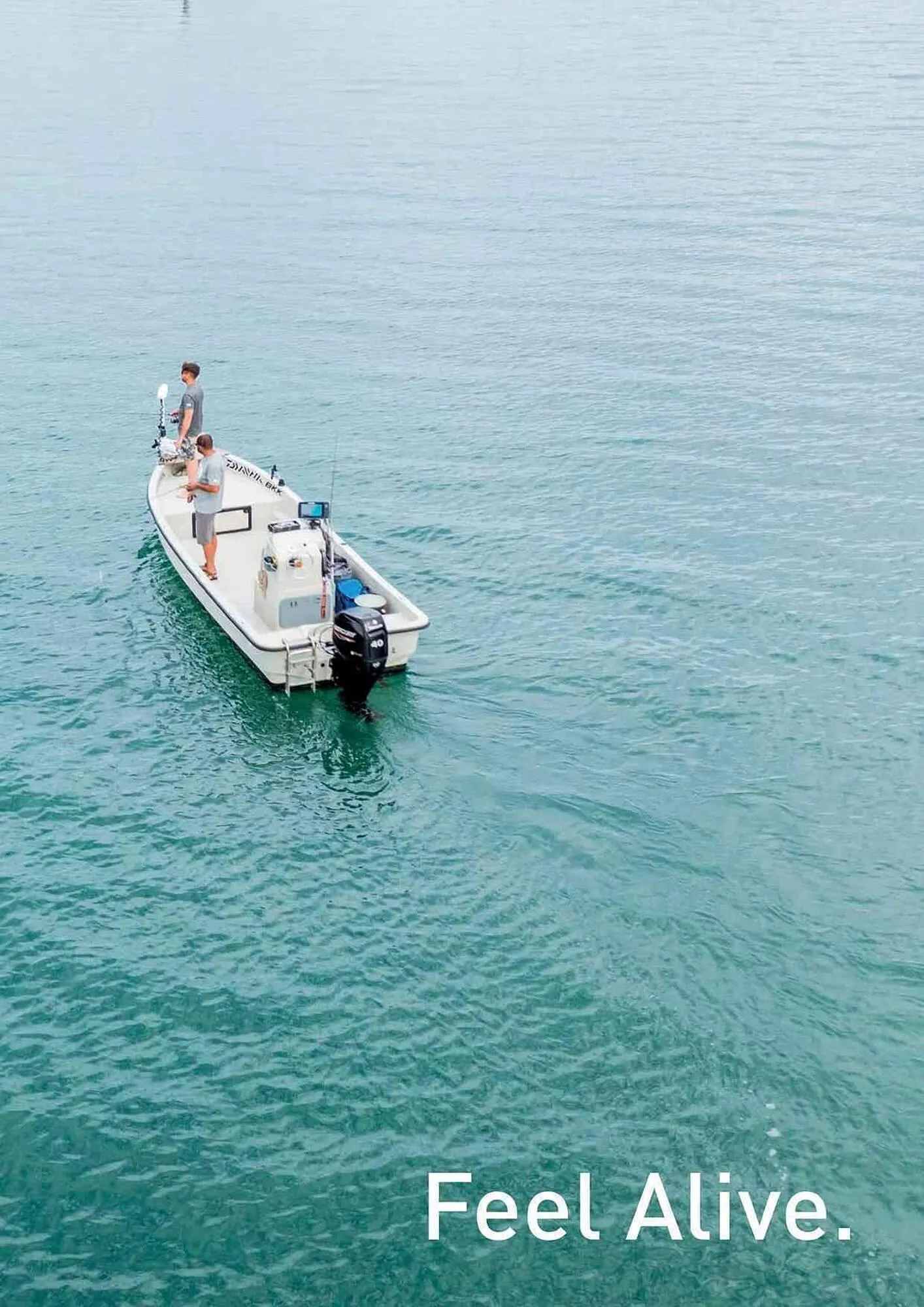 Volantino Daiwa da 4 febbraio a 31 dicembre di 2025 - Pagina del volantino 119