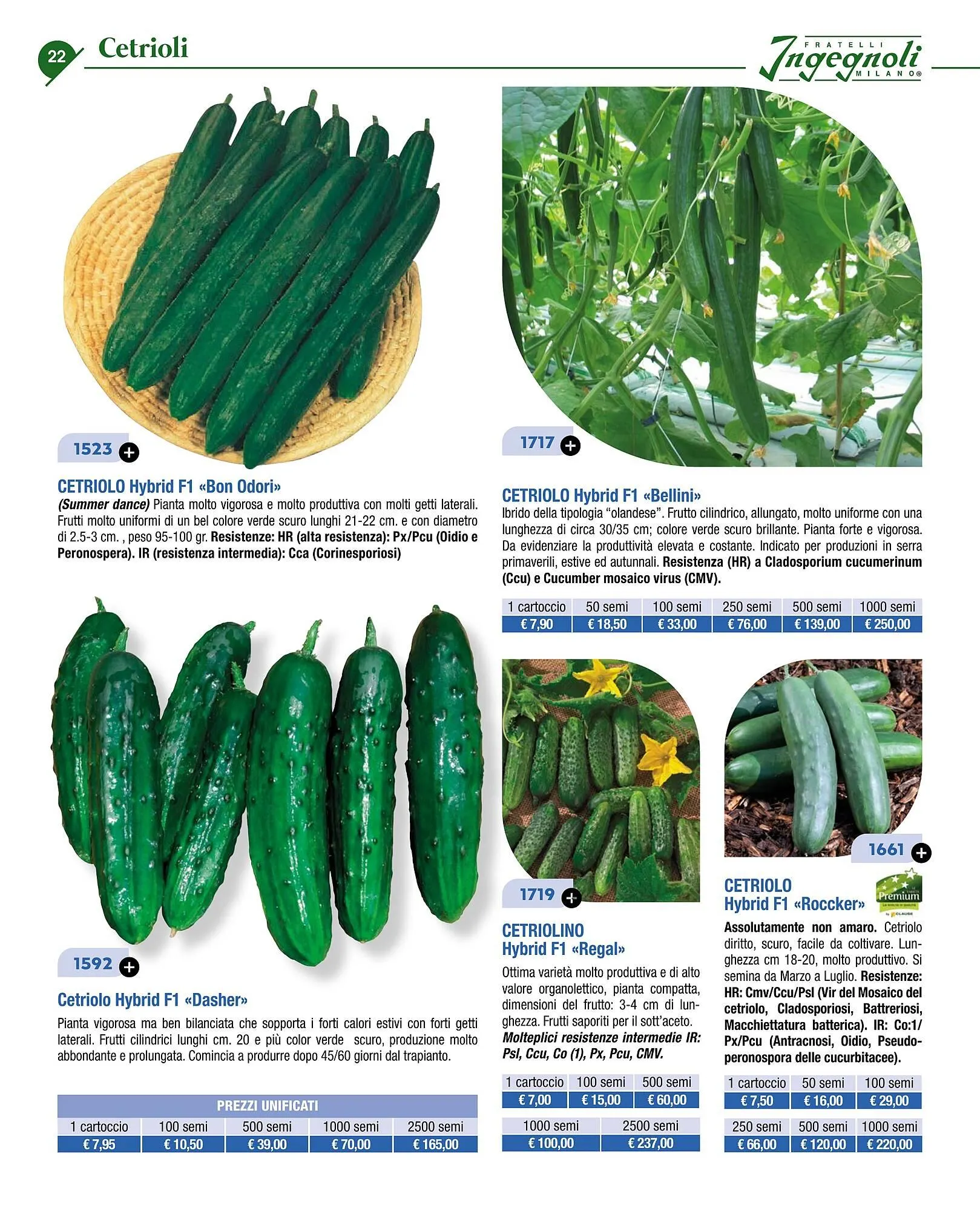 Volantino Ingegnoli da 4 novembre a 31 dicembre di 2025 - Pagina del volantino 24