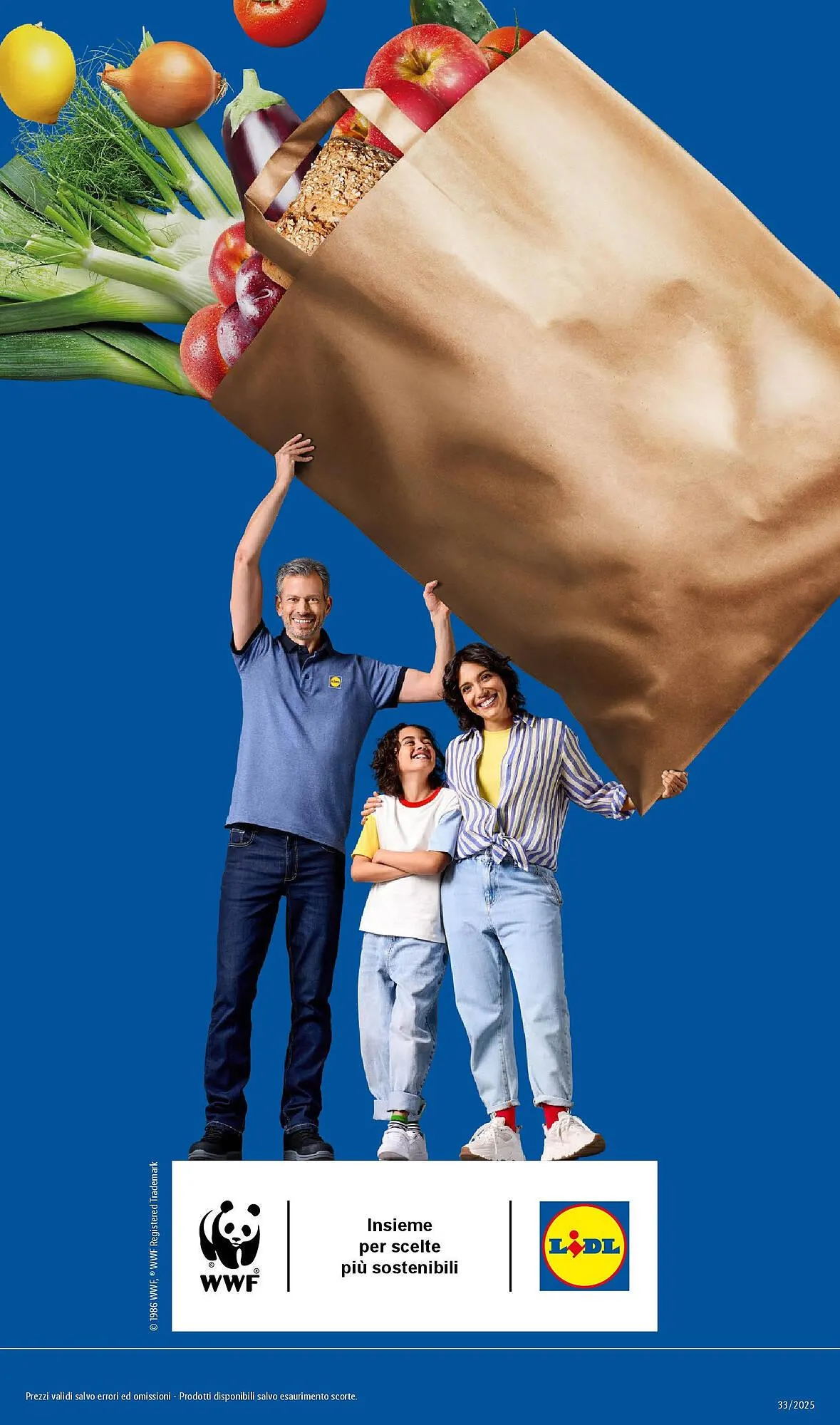 Volantino Lidl da 11 agosto a 17 agosto di 2025 - Pagina del volantino 29