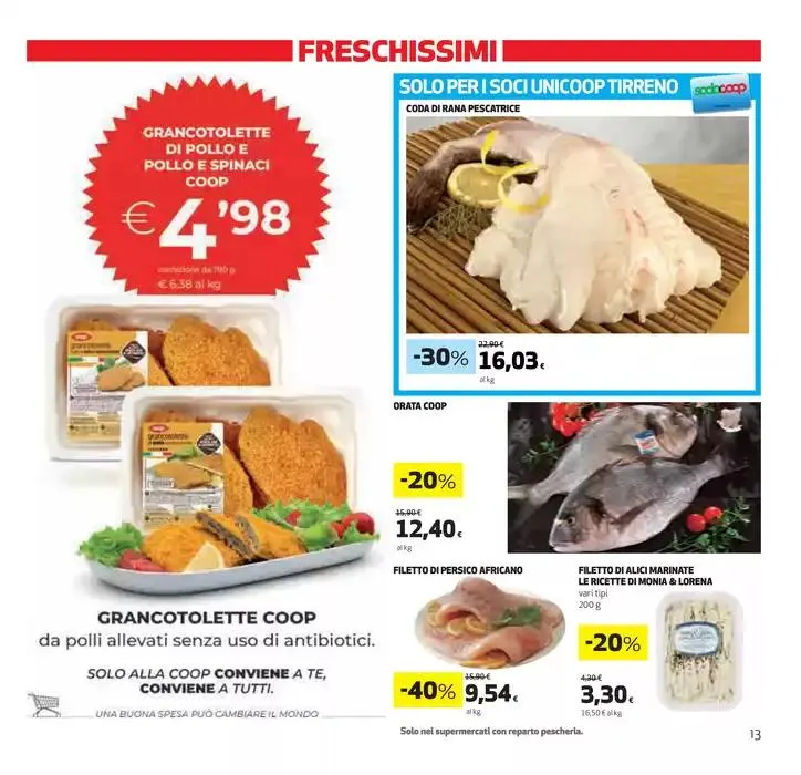 Sconti 30% 40% 50% da 27 marzo a 9 aprile di 2025 - Pagina del volantino 13