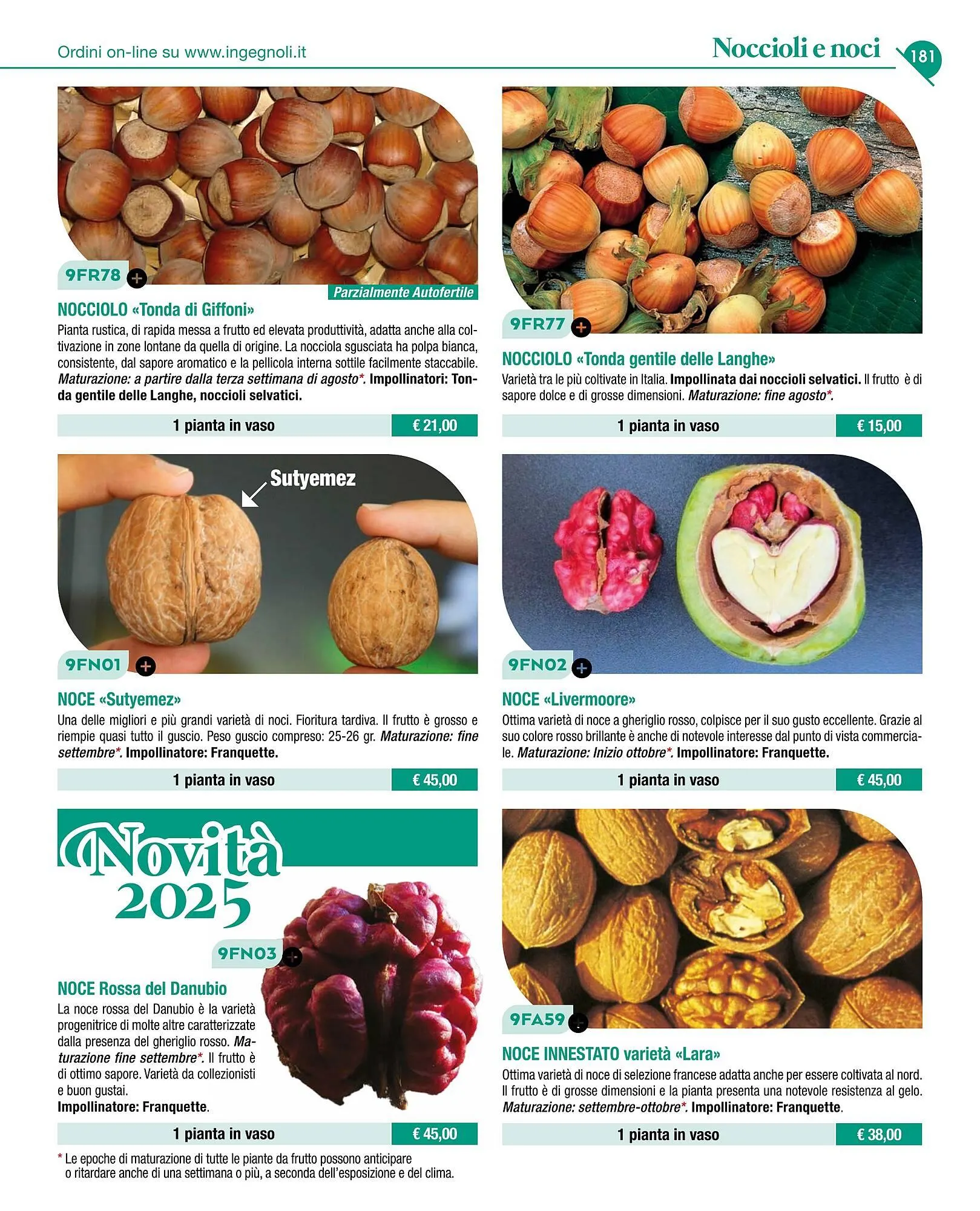 Volantino Ingegnoli da 4 novembre a 31 dicembre di 2025 - Pagina del volantino 183