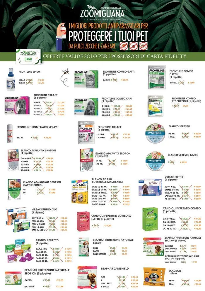 I megastore degli animali da 31 luglio a 25 agosto di 2024 - Pagina del volantino 2