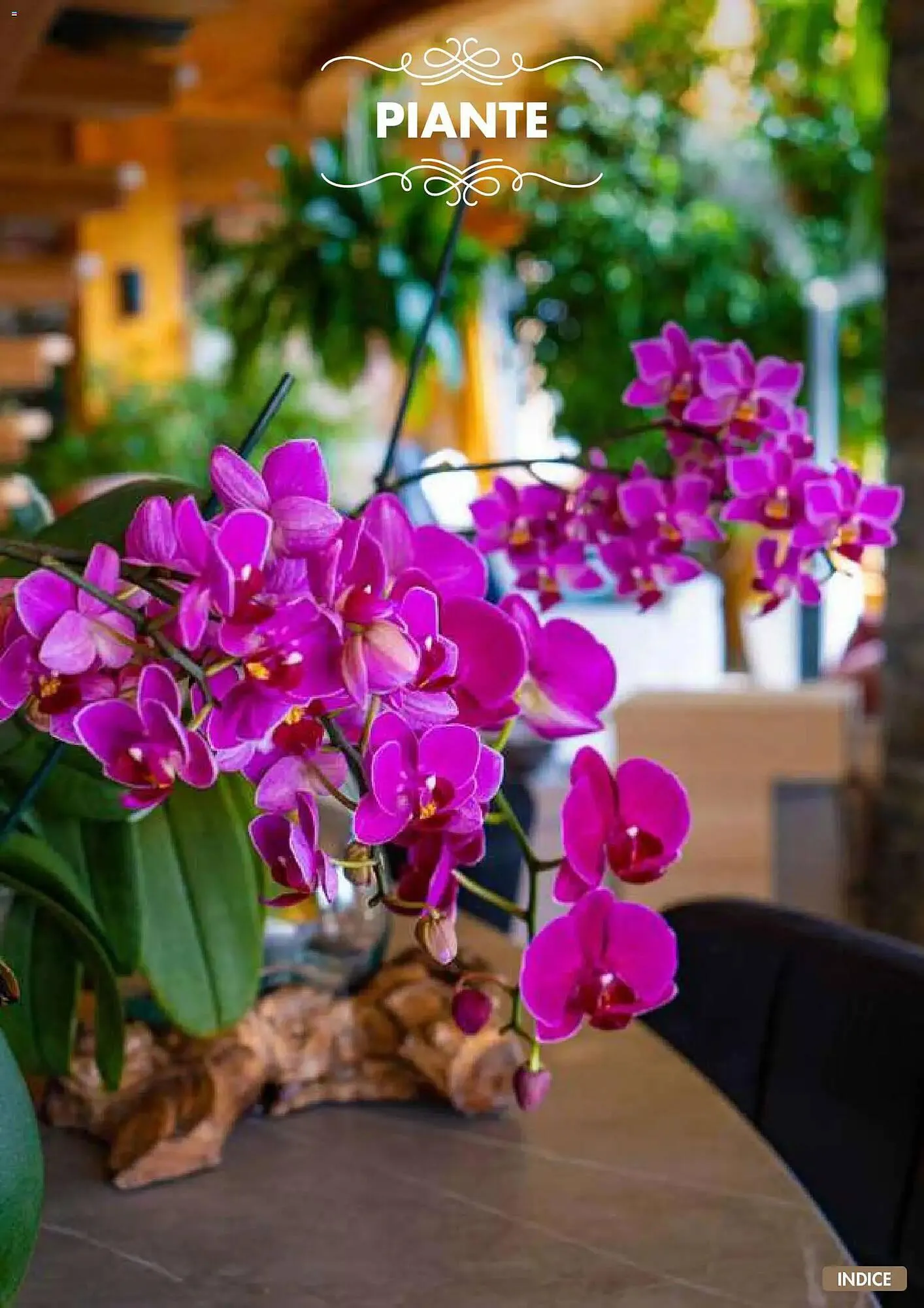 Volantino Italmark da 10 novembre a 31 dicembre di 2025 - Pagina del volantino 56