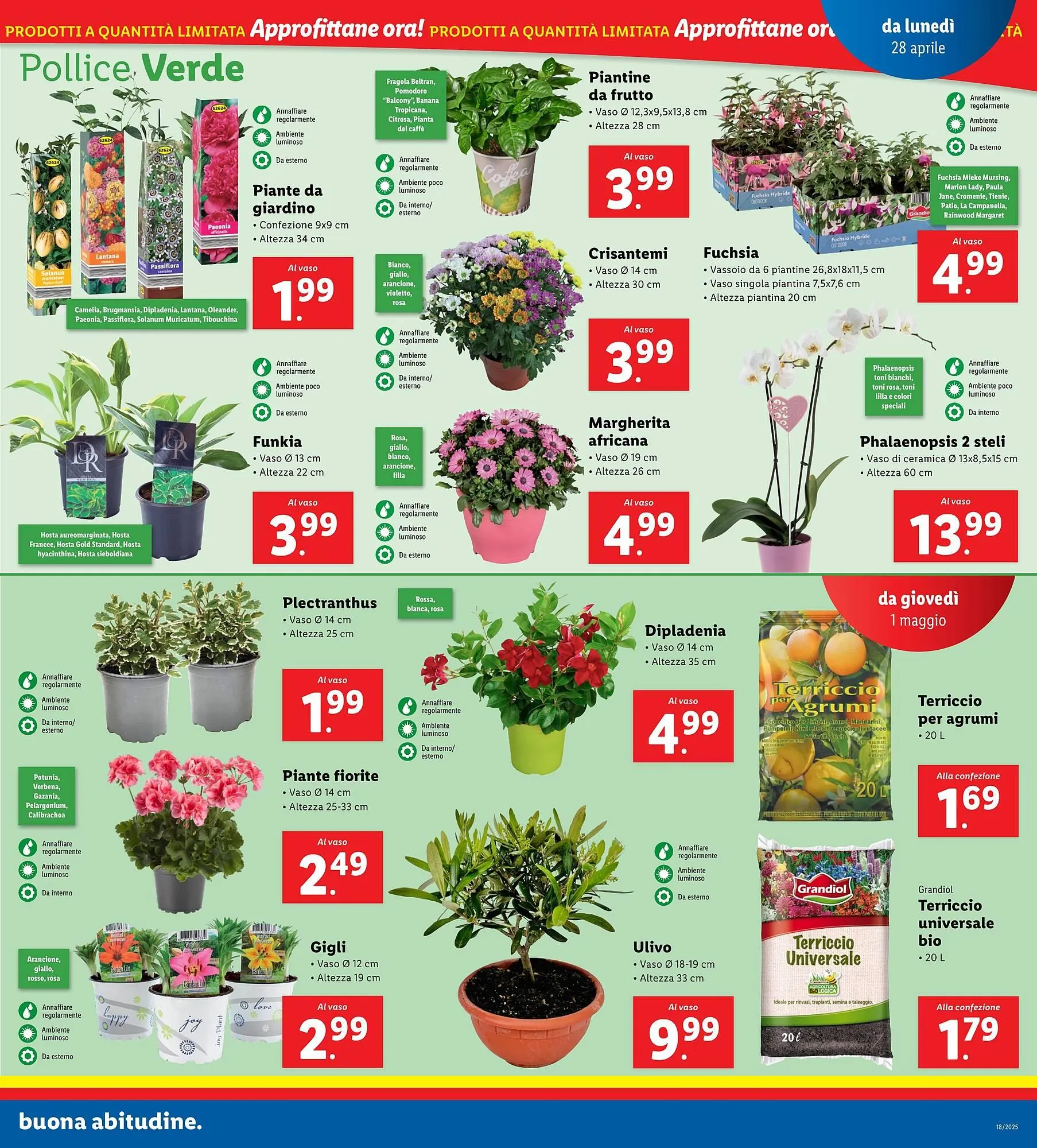 Volantino Lidl da 28 aprile a 4 maggio di 2025 - Pagina del volantino 11
