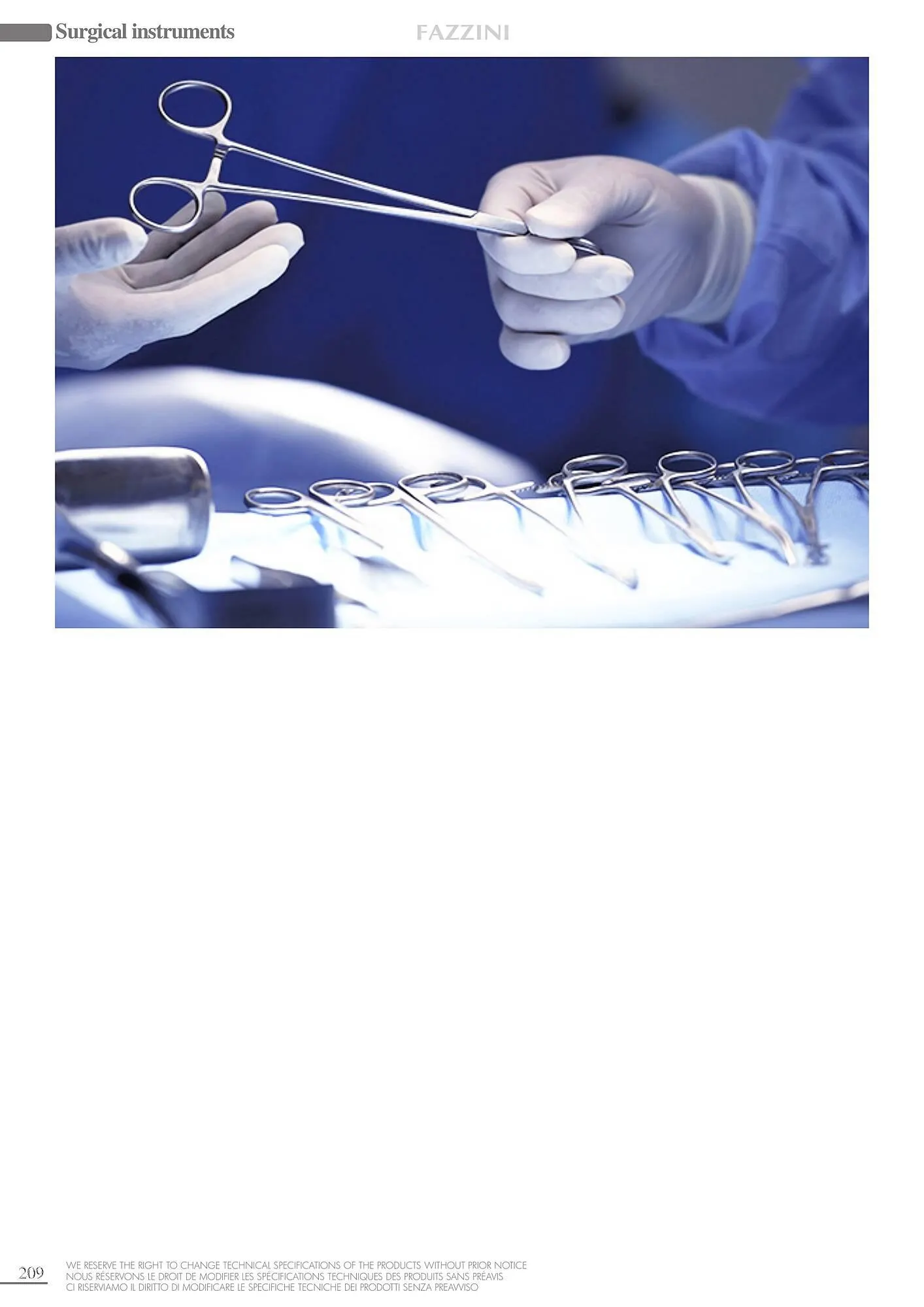 Volantino Fazzini da 11 settembre a 31 dicembre di 2024 - Pagina del volantino 10