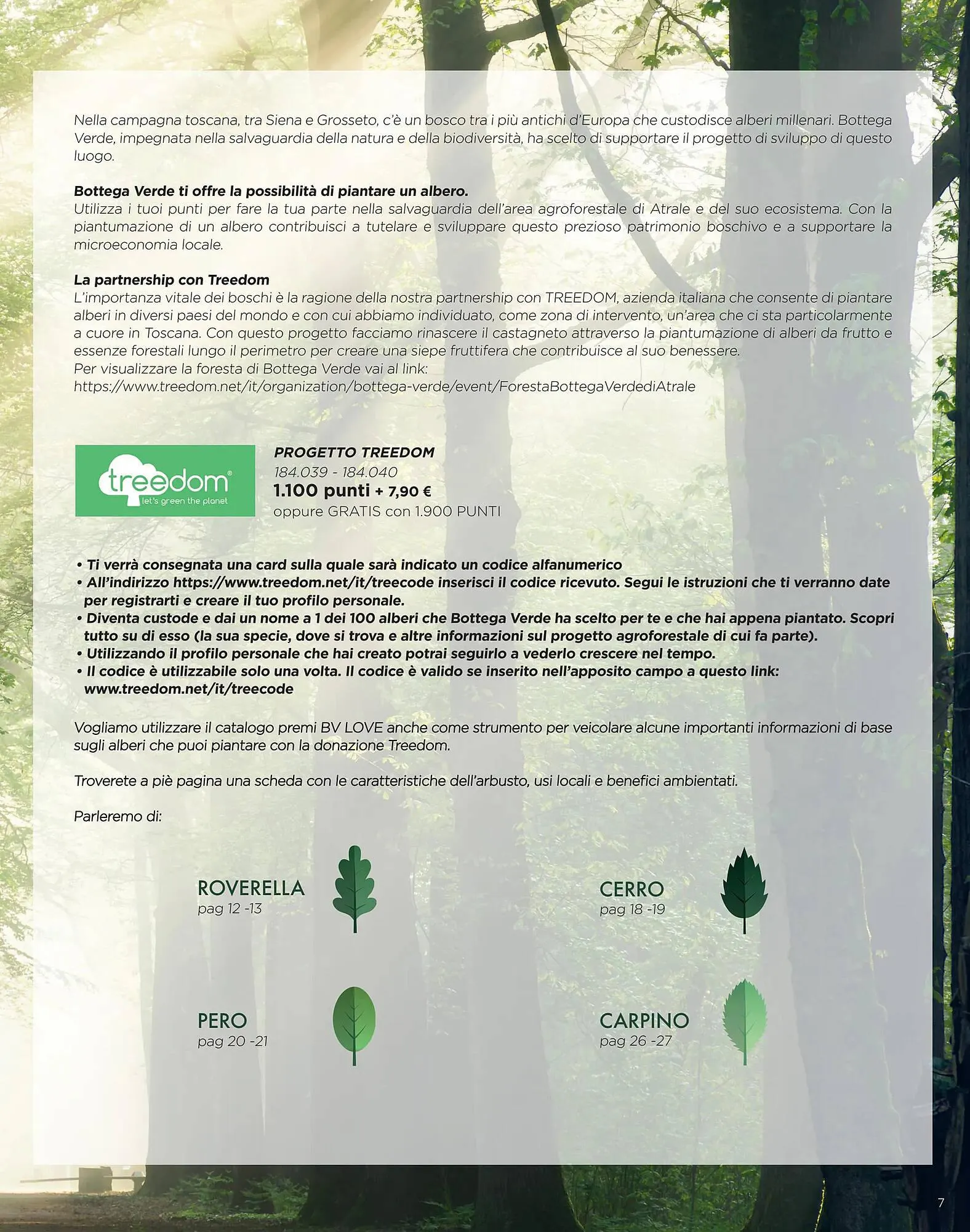 Volantino Bottega Verde da 1 aprile a 1 gennaio di 2025 - Pagina del volantino 7