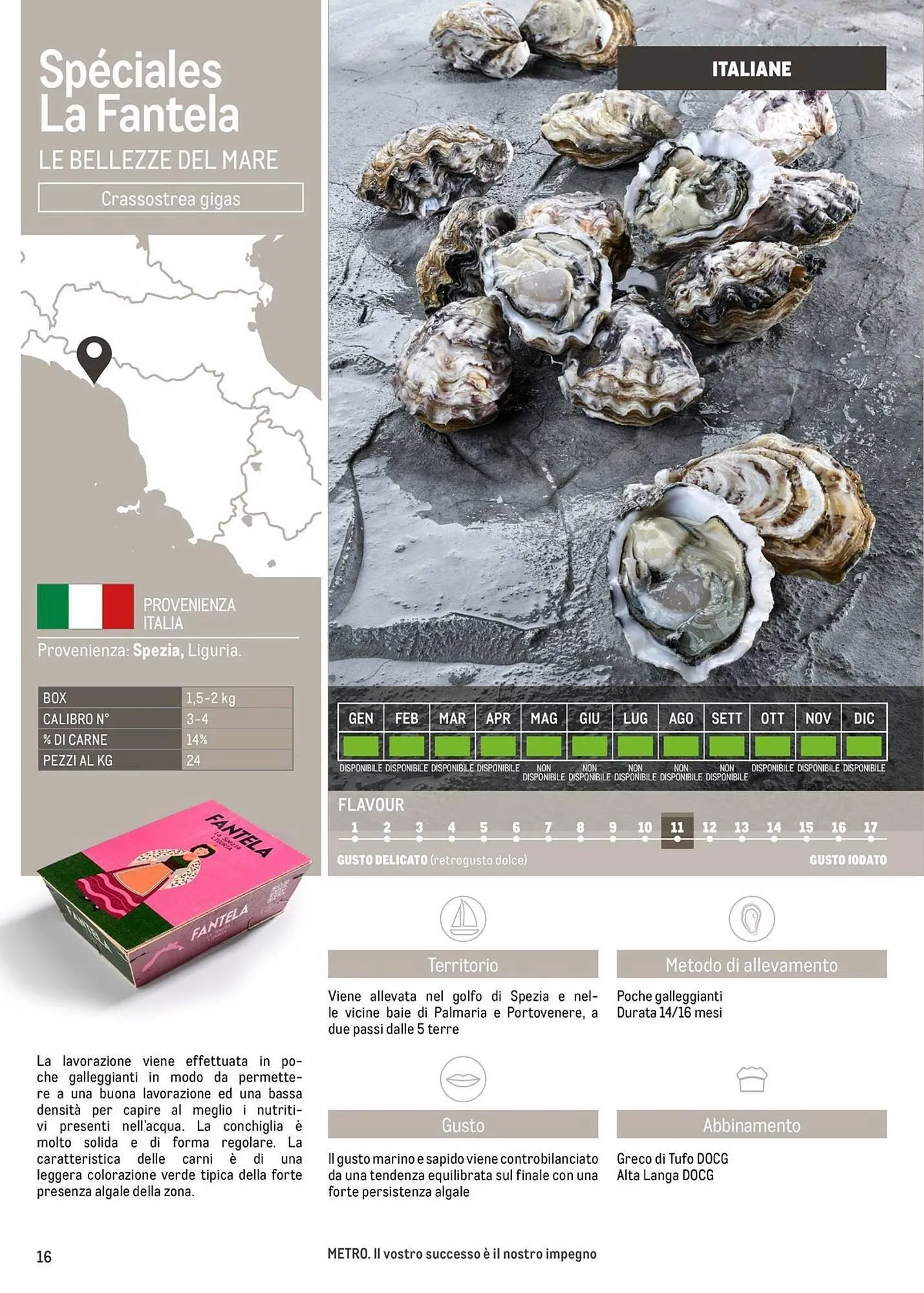 Volantino Metro da 16 giugno a 30 giugno di 2026 - Pagina del volantino 16