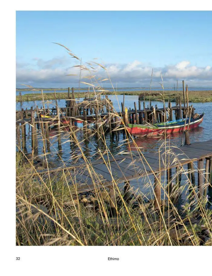 Outdoor decor collections 2024 da 1 febbraio a 30 giugno di 2024 - Pagina del volantino 34