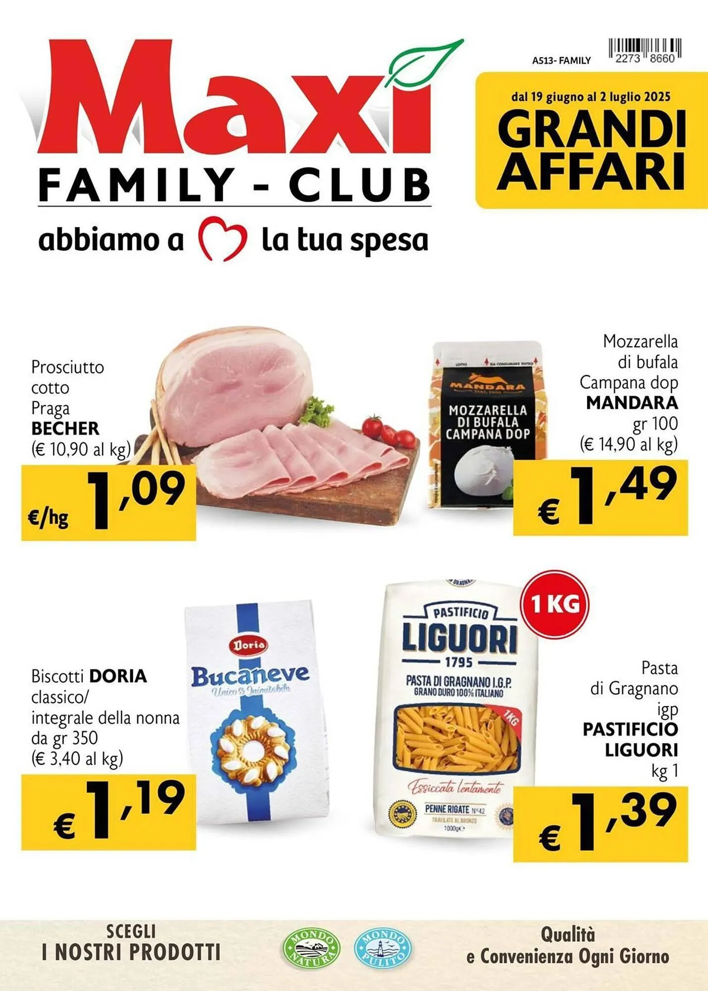 Volantino Maxi Family - 1