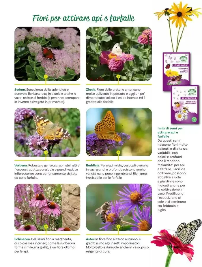 Idee per la vita all' aperto da 18 aprile a 18 maggio di 2025 - Pagina del volantino 43