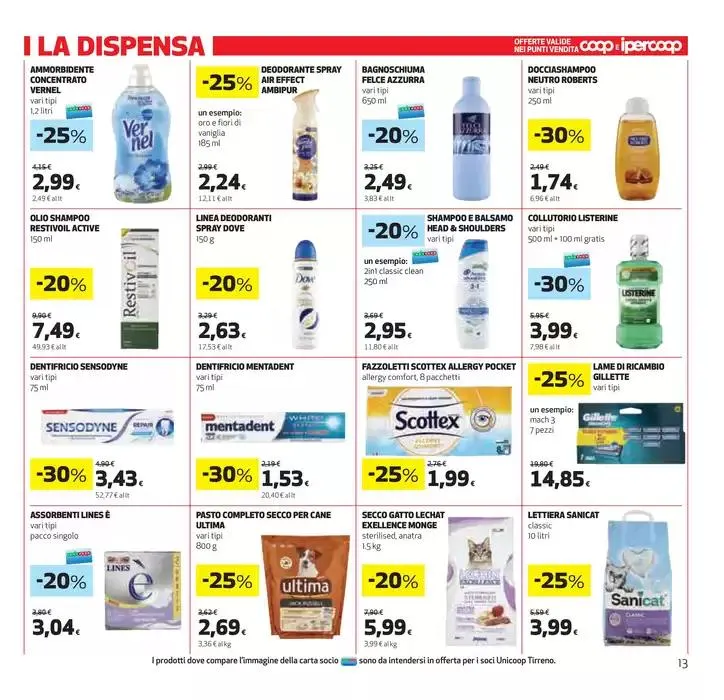 Sottocosto da 30 gennaio a 12 febbraio di 2025 - Pagina del volantino 13