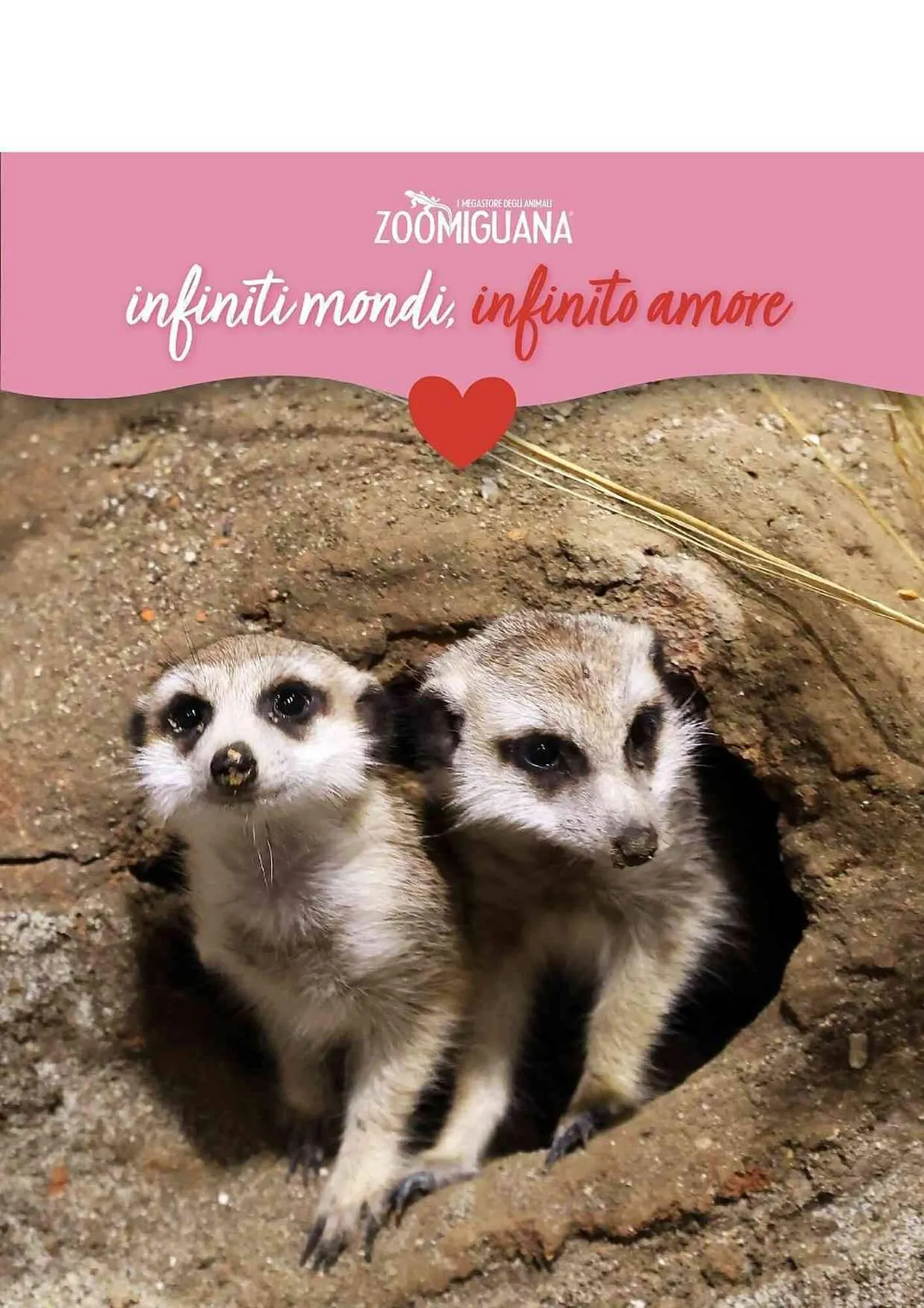 Volantino Zoomiguana da 15 febbraio a 1 marzo di 2026 - Pagina del volantino 4