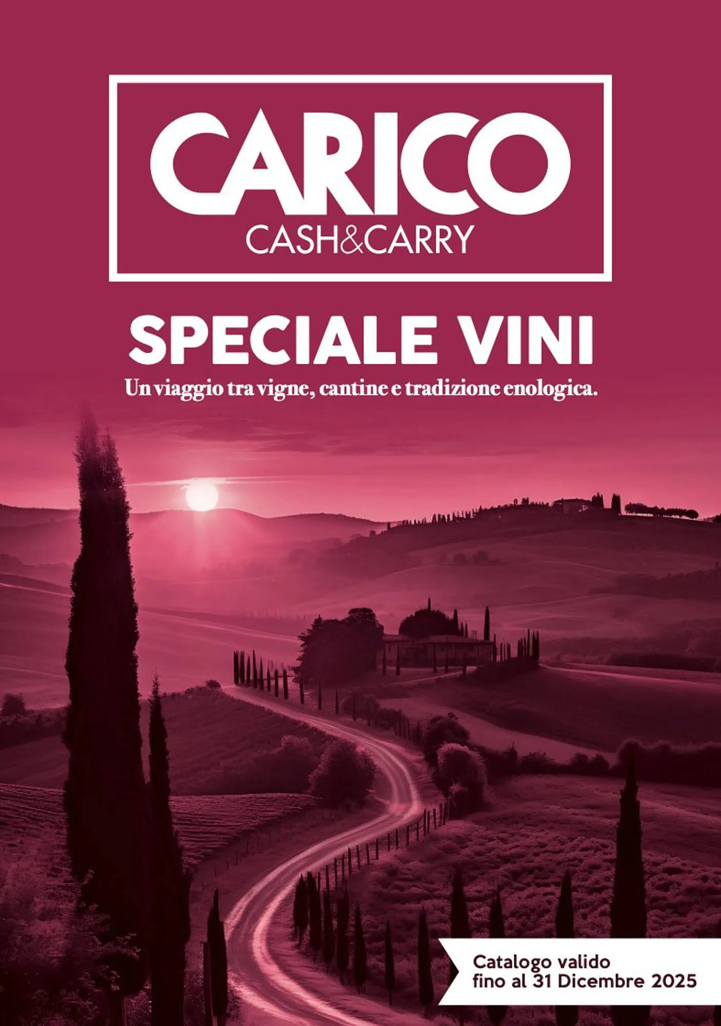 Volantino Carico Cash & Carry da 31 ottobre a 31 dicembre di 2025 - Pagina del volantino 1