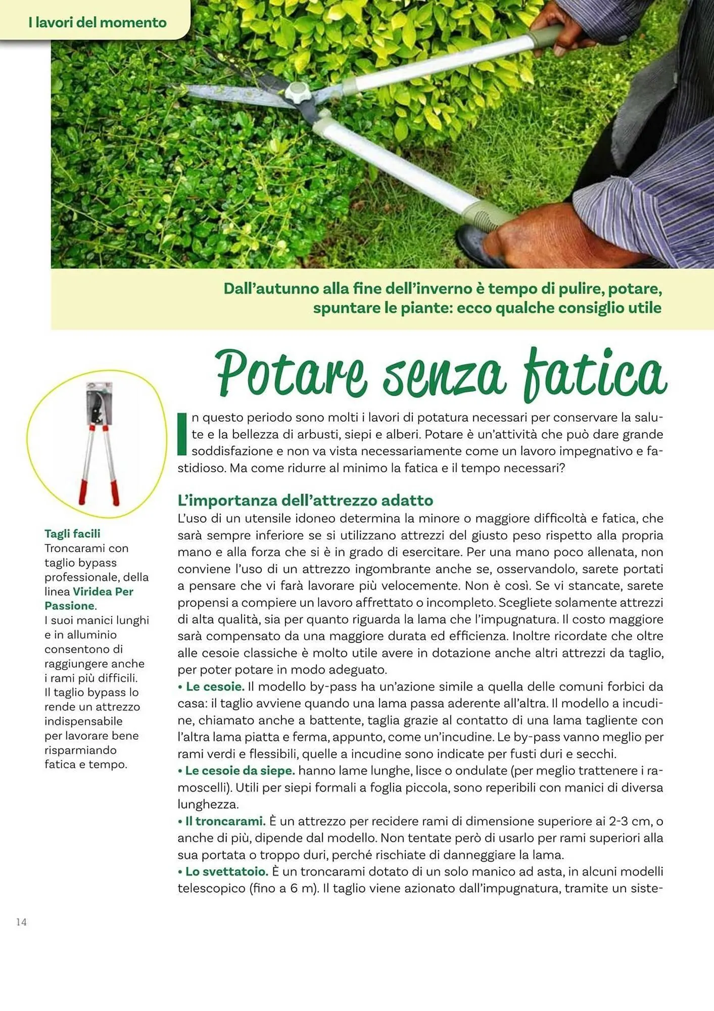 Volantino Viridea da 17 ottobre a 22 dicembre di 2025 - Pagina del volantino 14