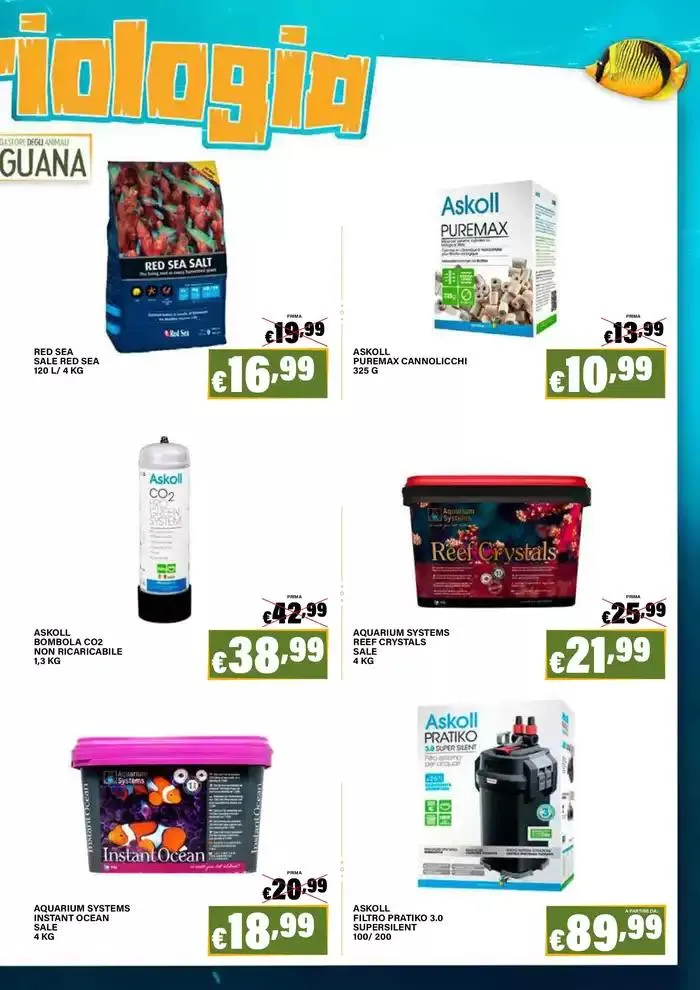 I megastore degli animali da 27 novembre a 6 gennaio di 2025 - Pagina del volantino 11