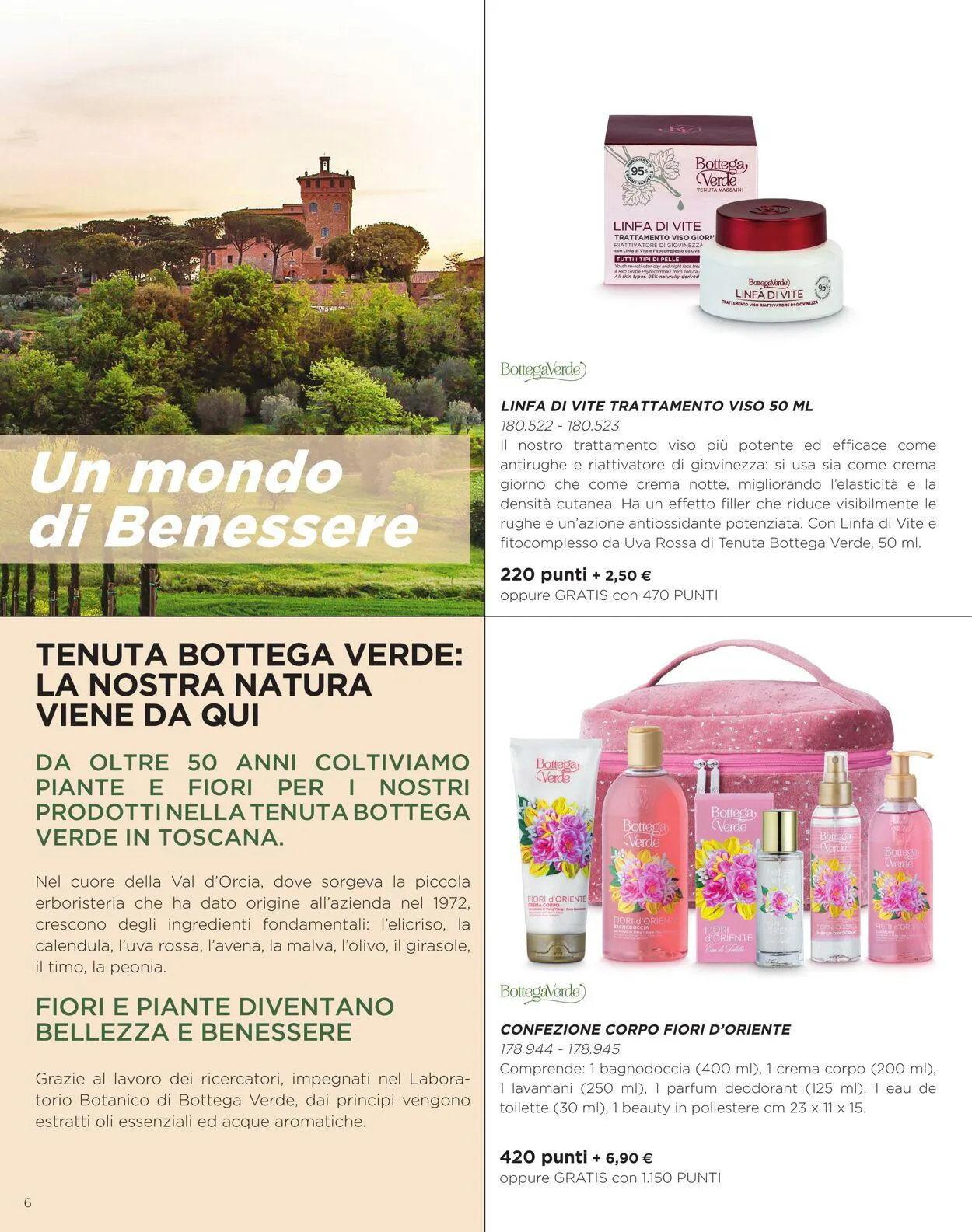 Bottega Verde da 1 aprile a 1 aprile di 2024 - Pagina del volantino 6