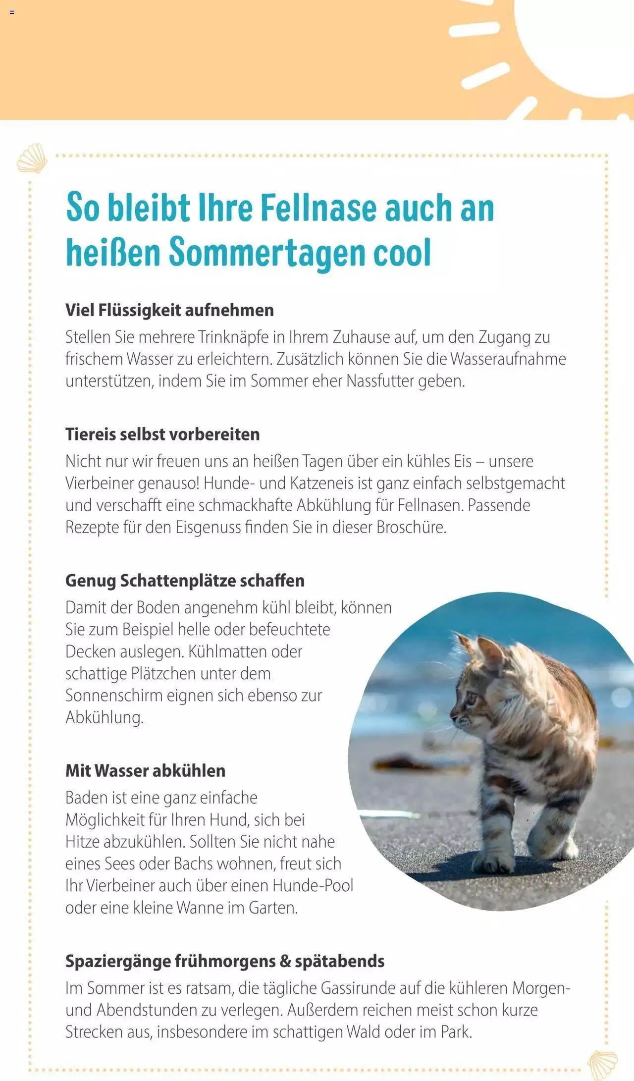 Volantino Zooplus da 1 luglio a 31 agosto di 2023 - Pagina del volantino 23