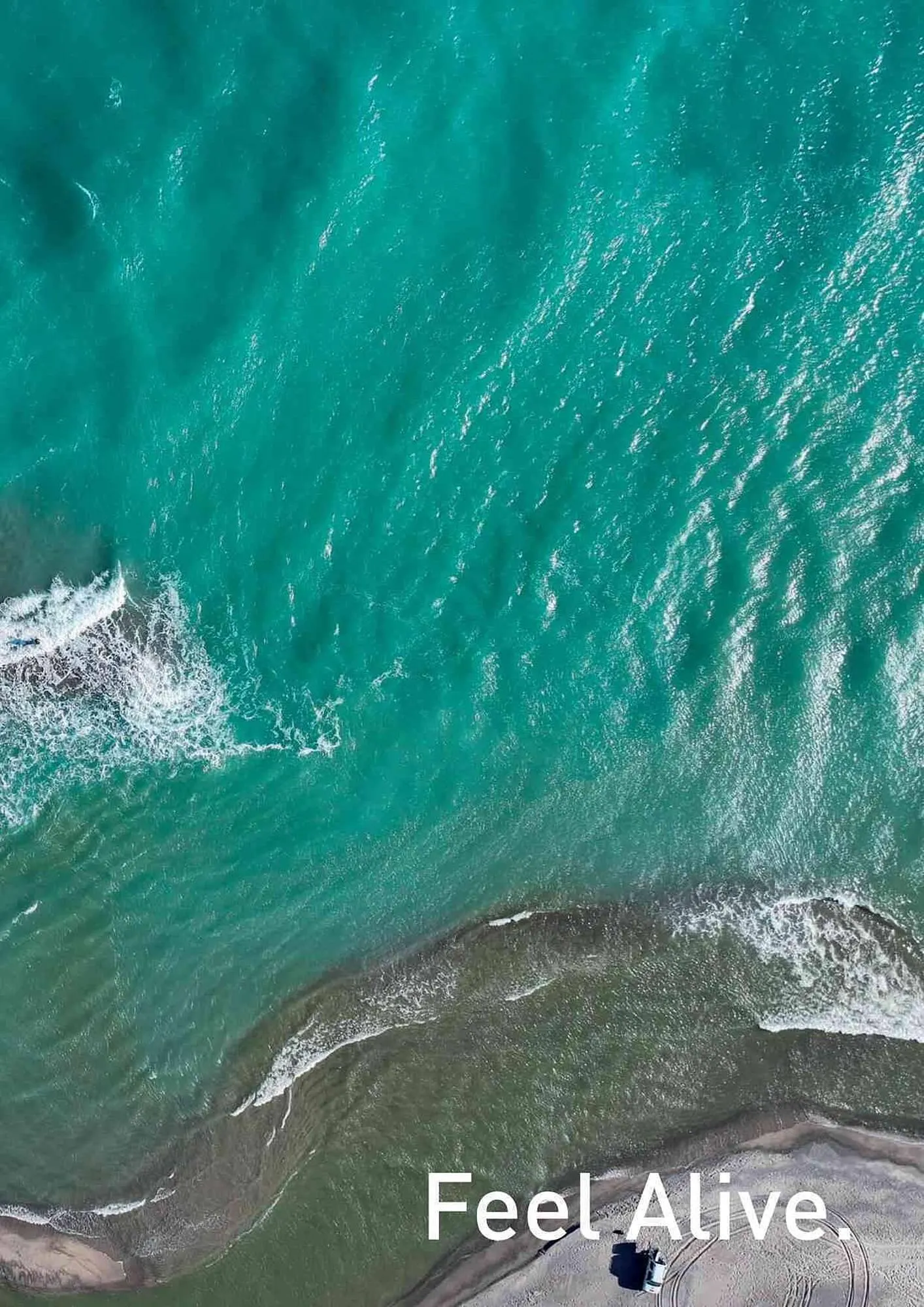 Volantino Daiwa da 4 febbraio a 31 dicembre di 2025 - Pagina del volantino 113