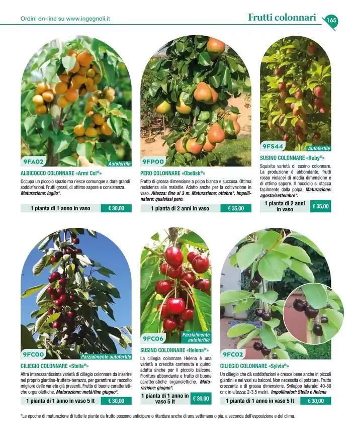 Catalogo guida 2025 da 20 gennaio a 31 dicembre di 2025 - Pagina del volantino 167