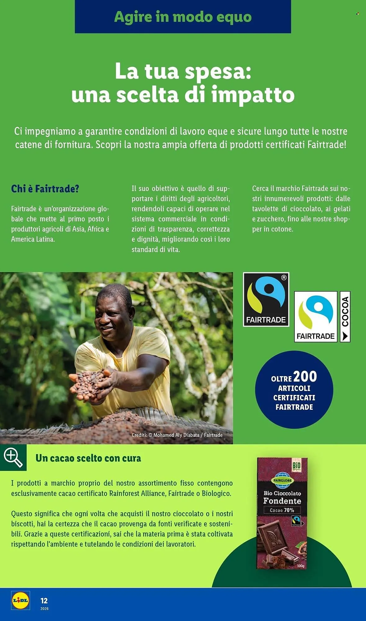 Volantino Lidl da 19 gennaio a 27 gennaio di 2026 - Pagina del volantino 12