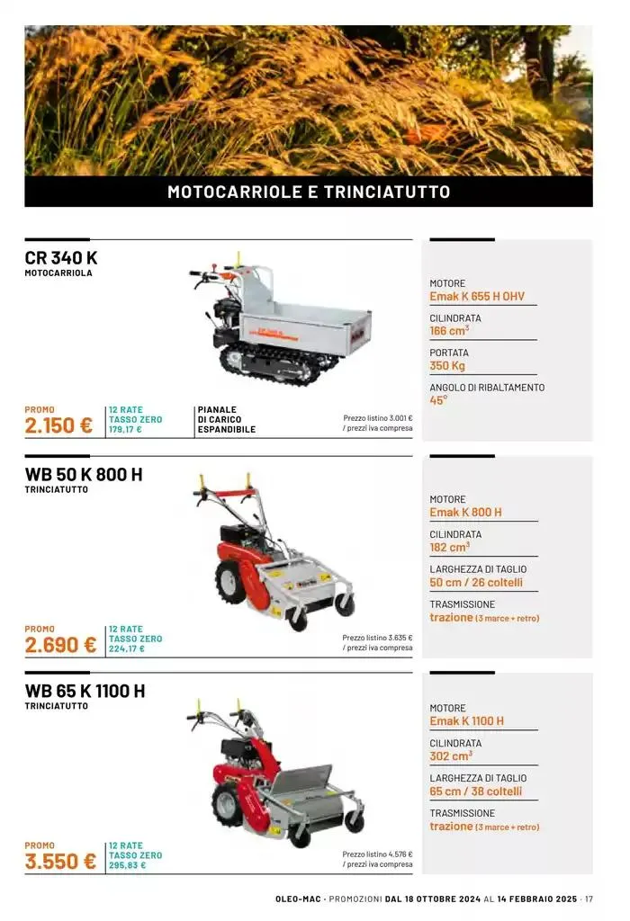 Insieme conviene! da 5 novembre a 14 febbraio di 2025 - Pagina del volantino 17