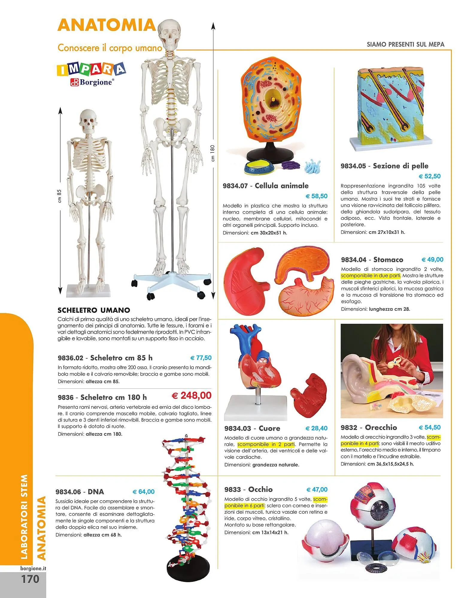 Volantino Borgione Sport da 31 dicembre a 31 dicembre di 2025 - Pagina del volantino 170