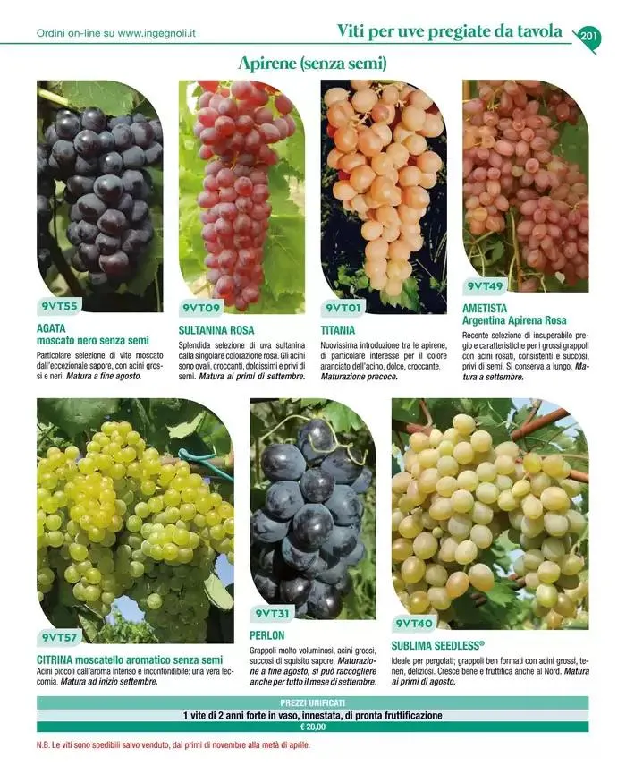 Catalogo guida 2025 da 20 gennaio a 31 dicembre di 2025 - Pagina del volantino 203