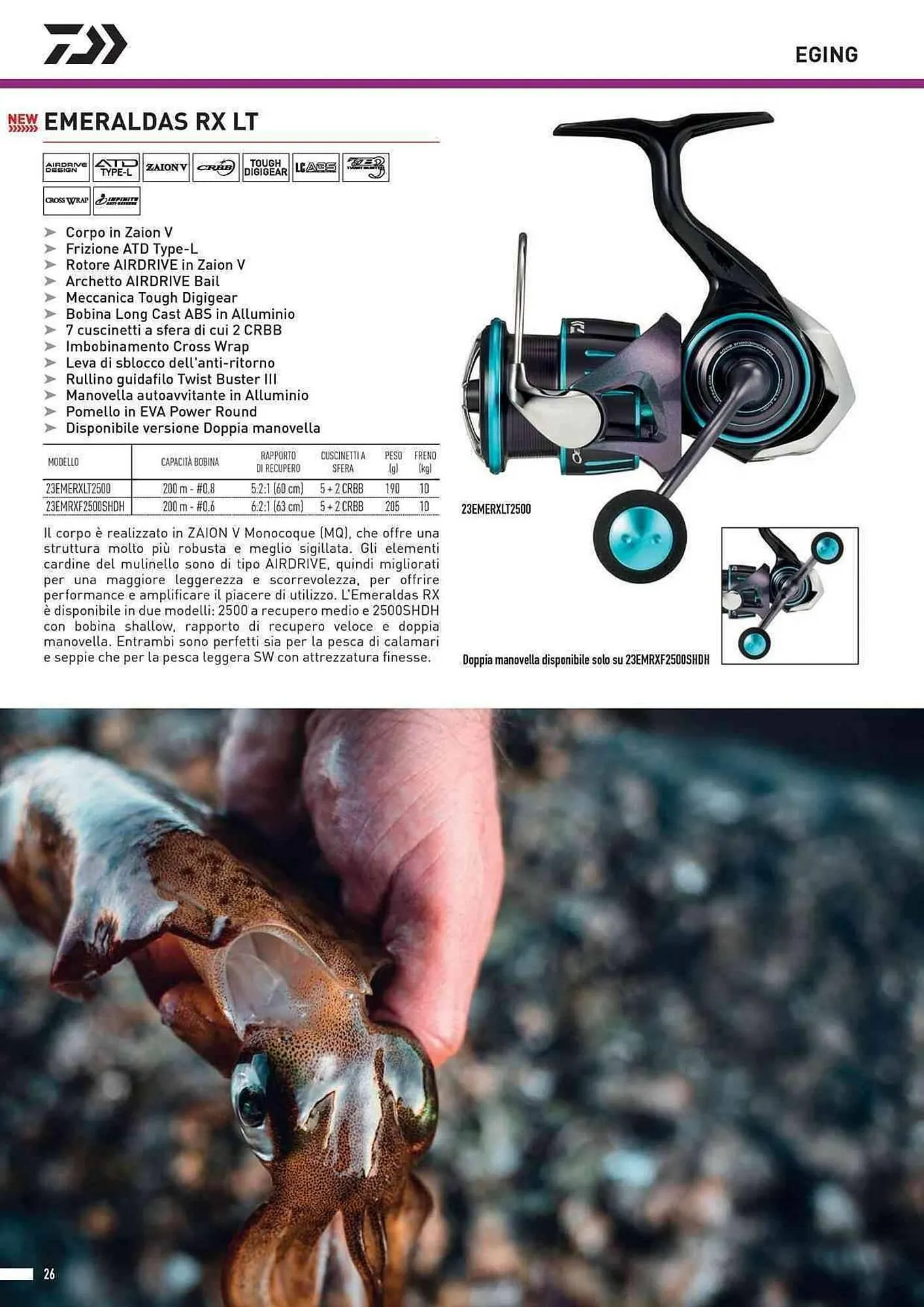 Volantino Daiwa da 4 febbraio a 31 dicembre di 2025 - Pagina del volantino 28