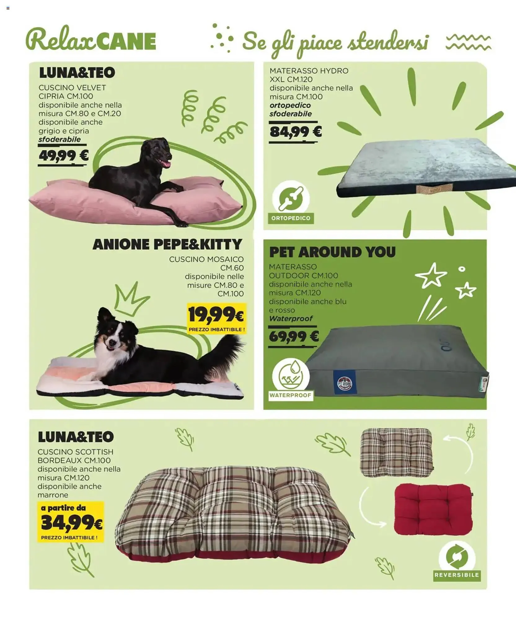 Volantino Arcaplanet da 1 novembre a 28 febbraio di 2026 - Pagina del volantino 6