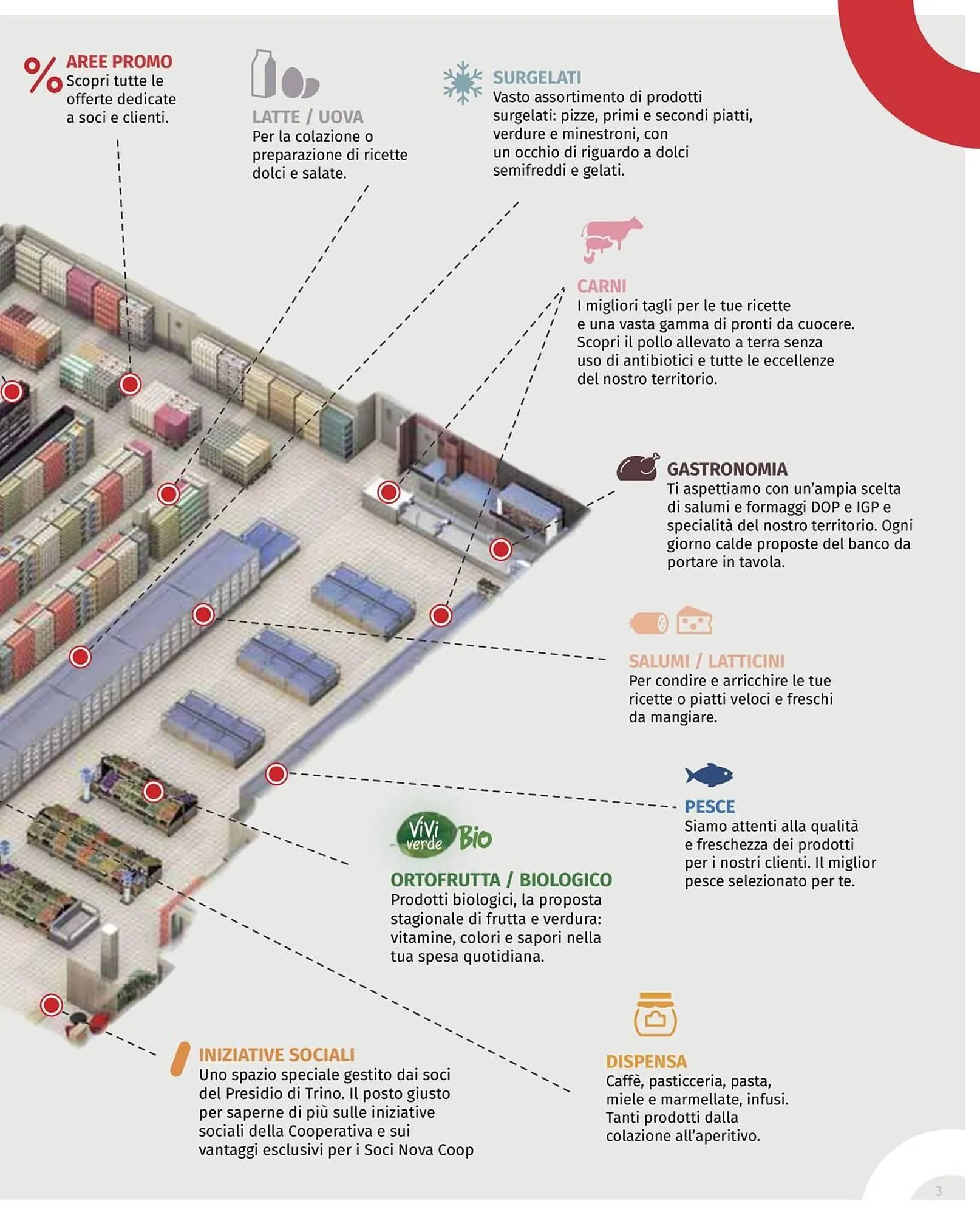 Volantino Coop da 12 marzo a 25 marzo di 2026 - Pagina del volantino 3