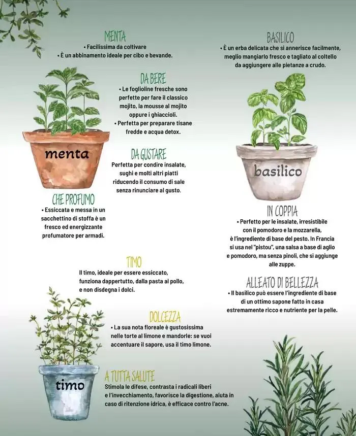 Catalogo A&O da 1 marzo a 30 aprile di 2025 - Pagina del volantino 26