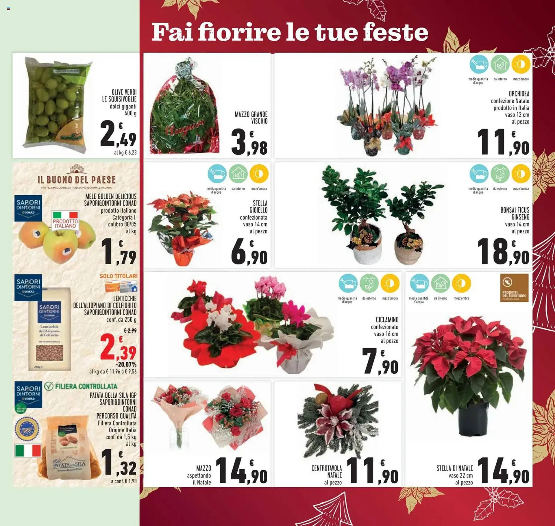 Volantino Conad da 10 dicembre a 26 dicembre di 2025 - Pagina del volantino 15
