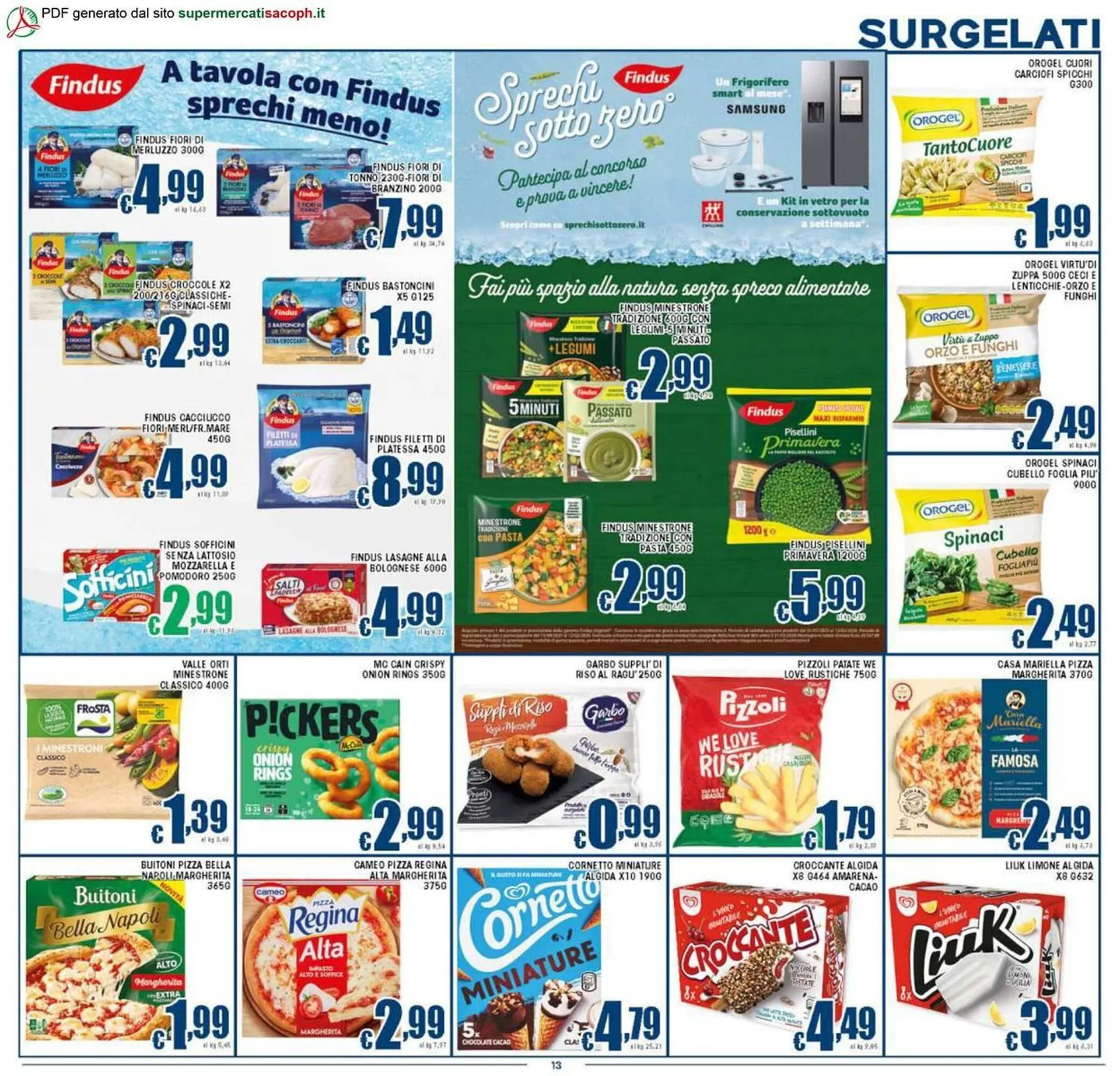 Volantino Sacoph da 29 ottobre a 6 novembre di 2025 - Pagina del volantino 13