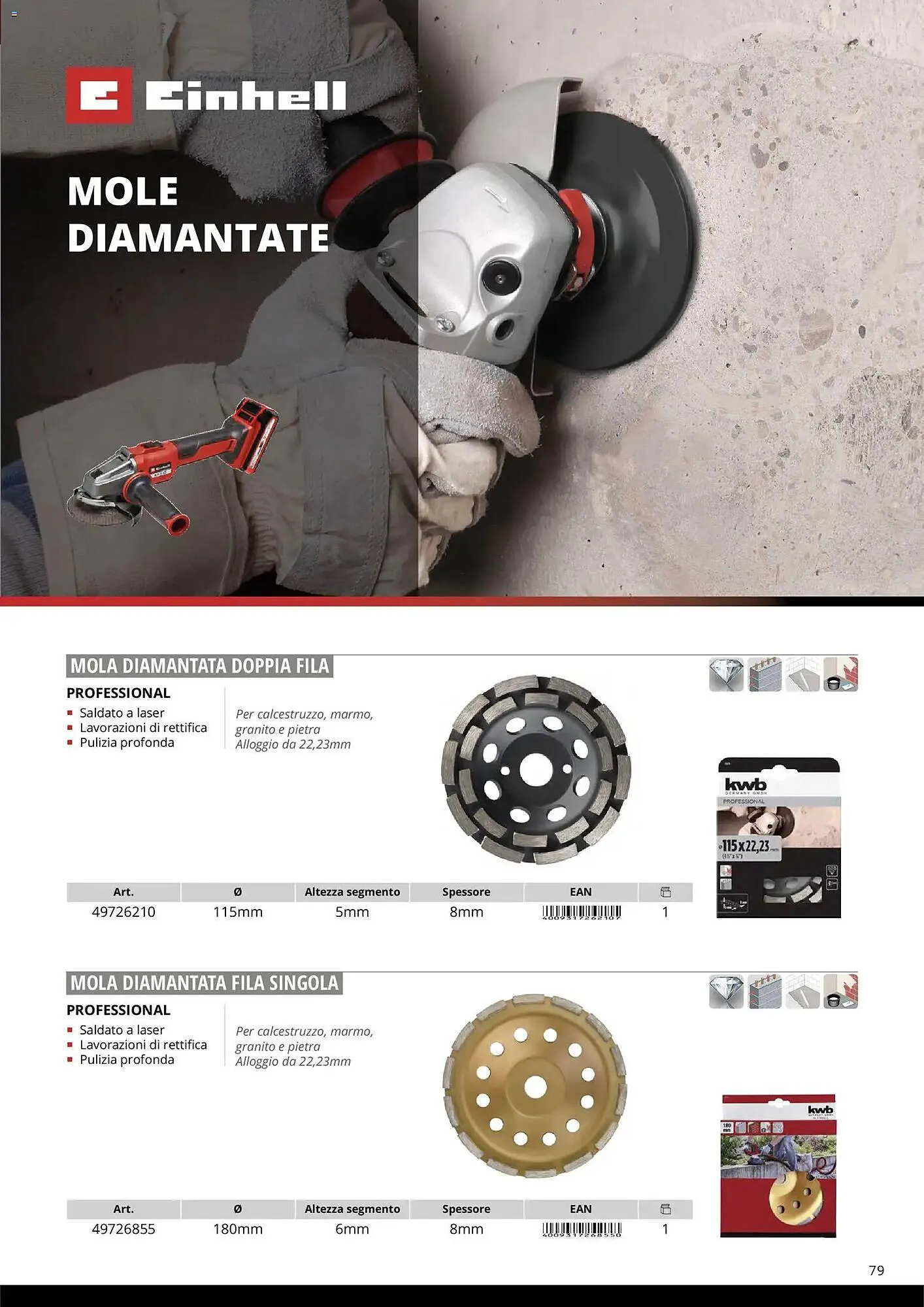 Volantino Einhell da 17 marzo a 31 dicembre di 2026 - Pagina del volantino 81
