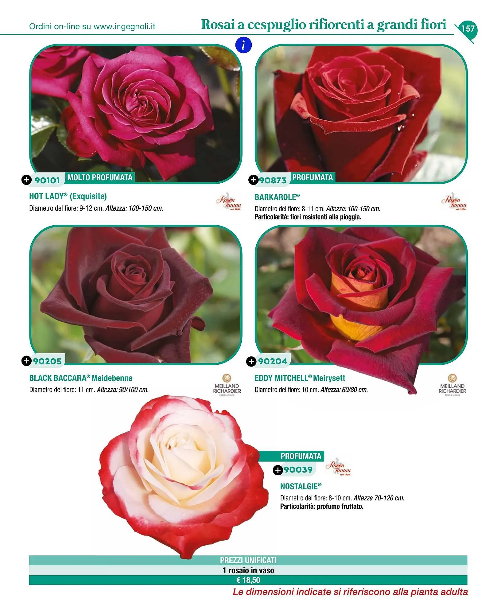 Volantino Ingegnoli da 4 novembre a 31 dicembre di 2025 - Pagina del volantino 159