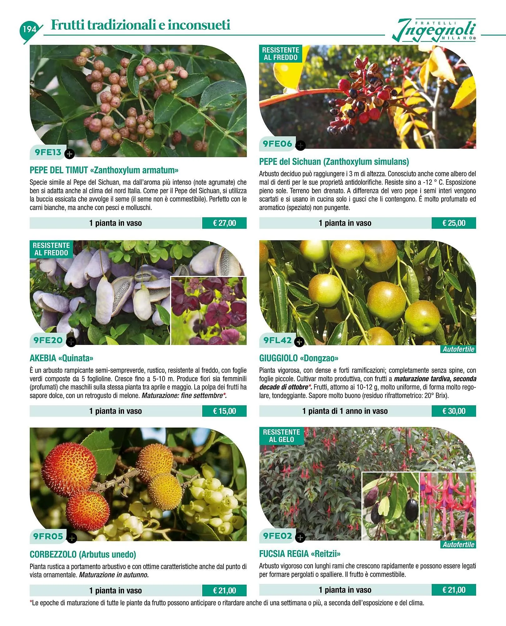 Volantino Ingegnoli da 4 novembre a 31 dicembre di 2025 - Pagina del volantino 196