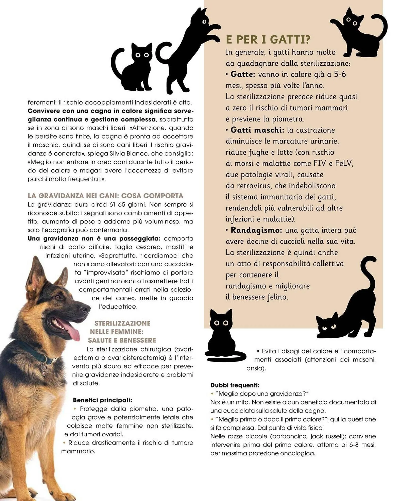 Volantino A&O da 1 novembre a 31 dicembre di 2025 - Pagina del volantino 75