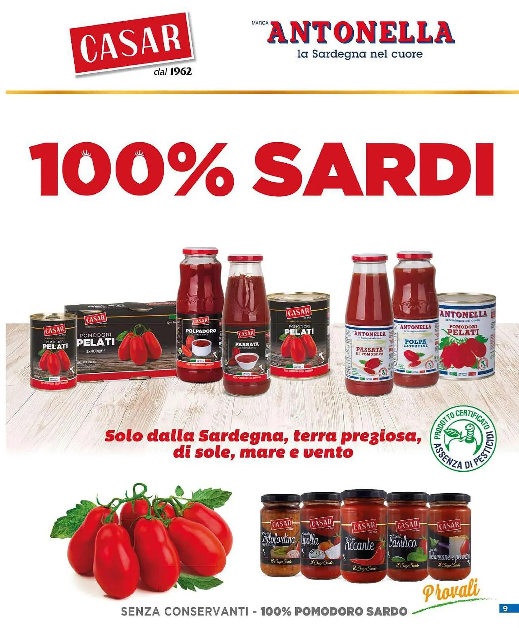 Volantino Iper Romagnolo da 28 dicembre a 7 gennaio di 2024 - Pagina del volantino 9