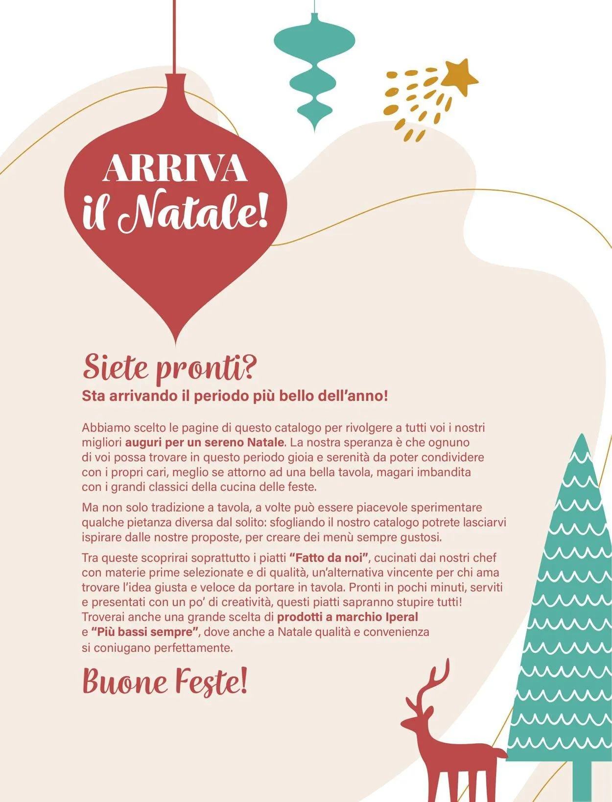 Iperal Volantino attuale da 30 novembre a 14 dicembre di 2023 - Pagina del volantino 2