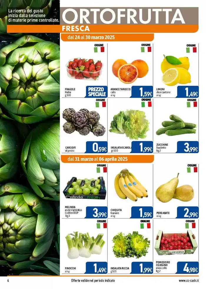 PROFESSIONAL da 24 marzo a 20 aprile di 2025 - Pagina del volantino 4